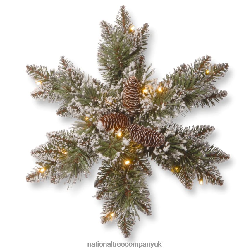 Greenery | National Tree Company Pre-Lit Artificial Christmas Hanging Snowflake Green Glittery Bristle Pine Decorated with Pine Cones Frosted Branches Christmas Collection 18 Inches F2L4F444